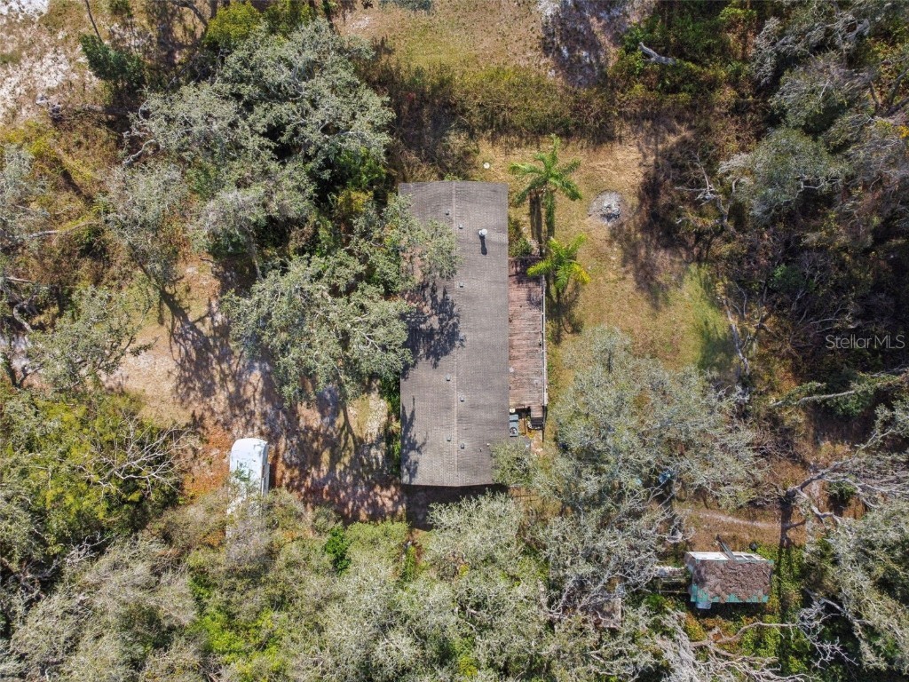 3207 Mazie Drive Zephyrhills FL 33541 TB8461250 image38