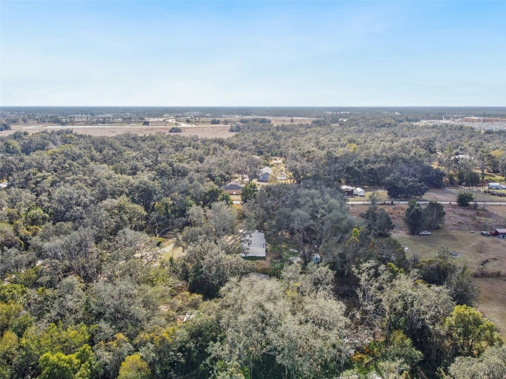 3207 Mazie Drive Zephyrhills FL 33541 TB8461250 image39