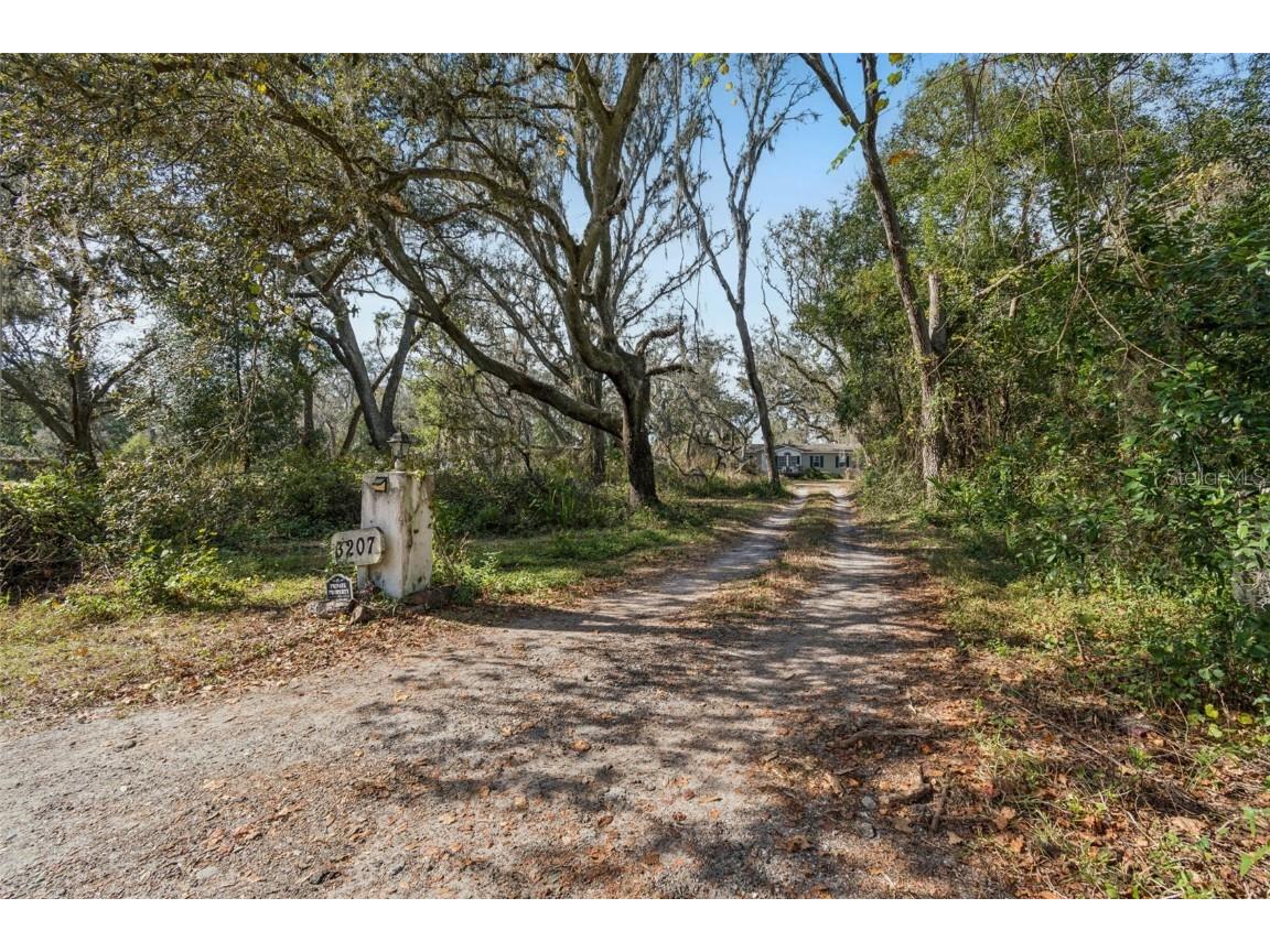 3207 Mazie Drive Zephyrhills FL 33541 TB8461250 image4