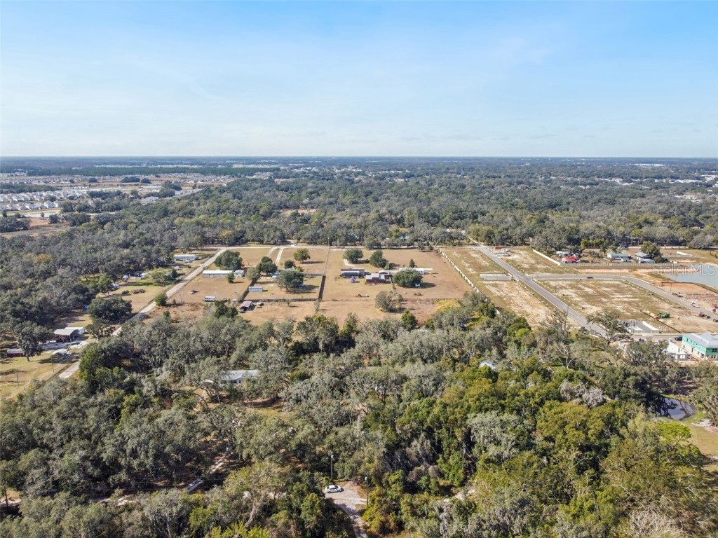 3207 Mazie Drive Zephyrhills FL 33541 TB8461250 image40