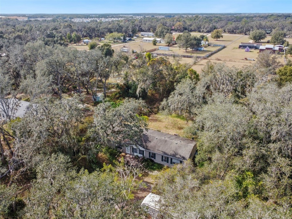 3207 Mazie Drive Zephyrhills FL 33541 TB8461250 image43