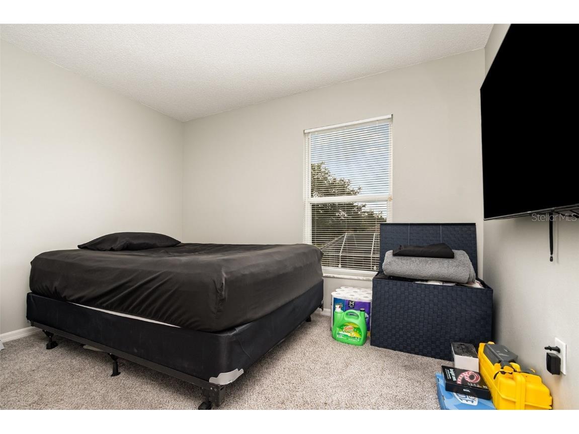 3207 Scenic Woods Drive Deltona FL 32725 TB8424887 image22