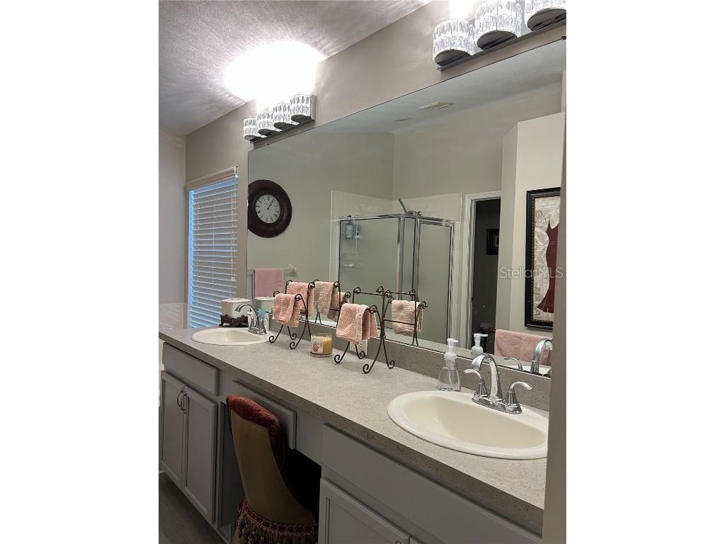 3207 Sunwatch Drive Wesley Chapel FL 33544 TB8429743 image14