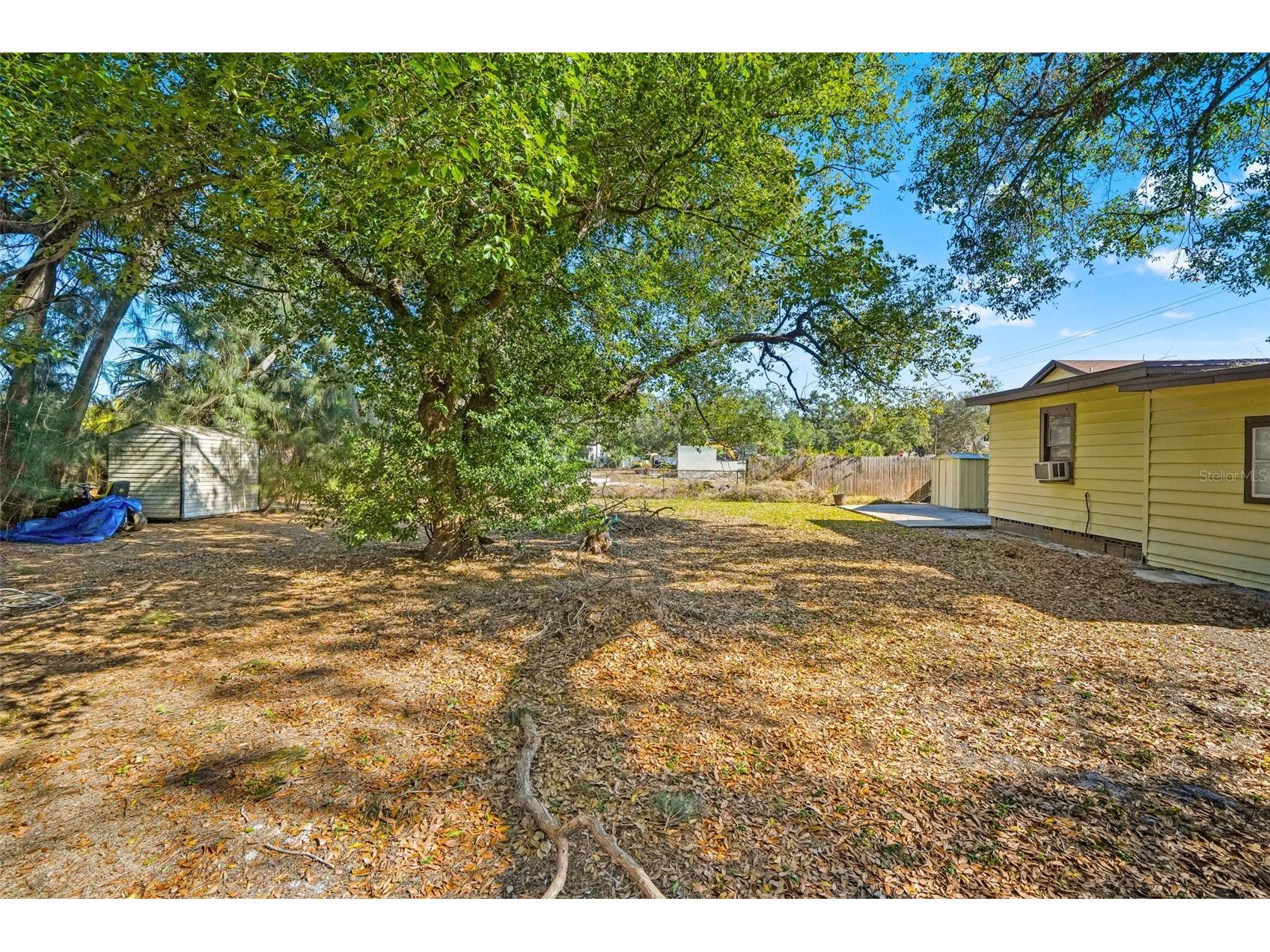 3207 W Wyoming Avenue Tampa FL 33611 TB8465831 image15