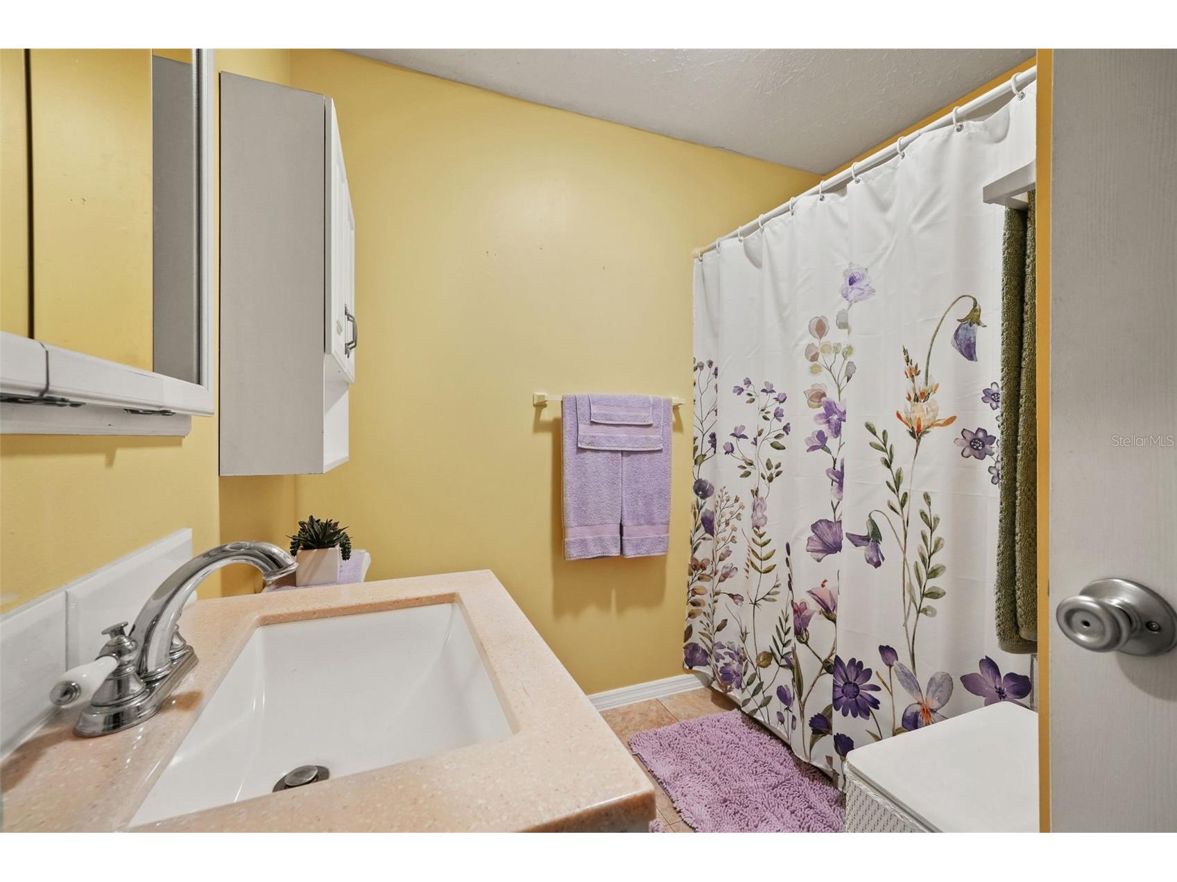 3207 W Wyoming Avenue Tampa FL 33611 TB8465831 image28