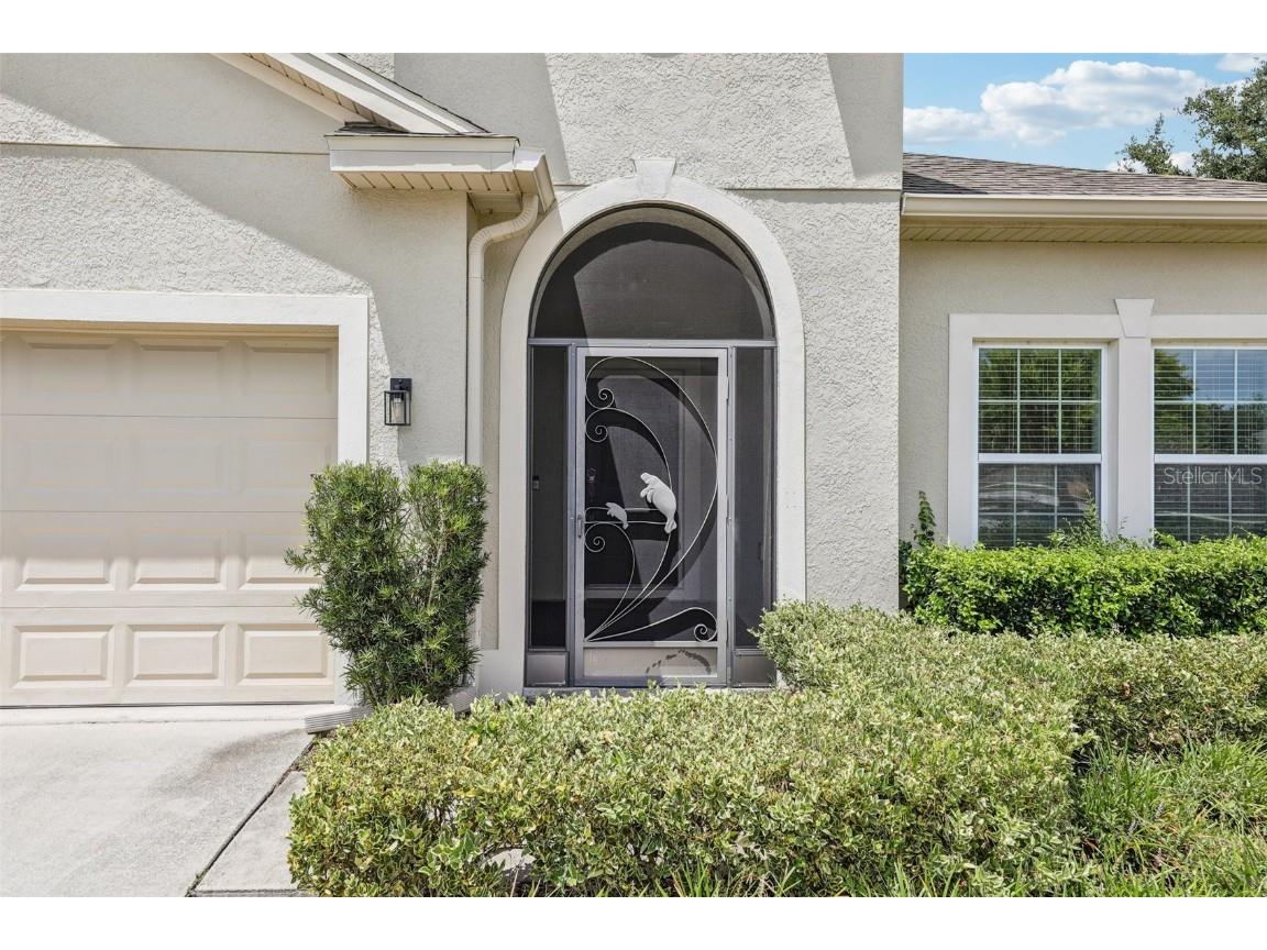 3207 Zander Drive Grand Island FL 32735 - HARRIS CHAIN OF LAKES NEARBY G5100479 image2