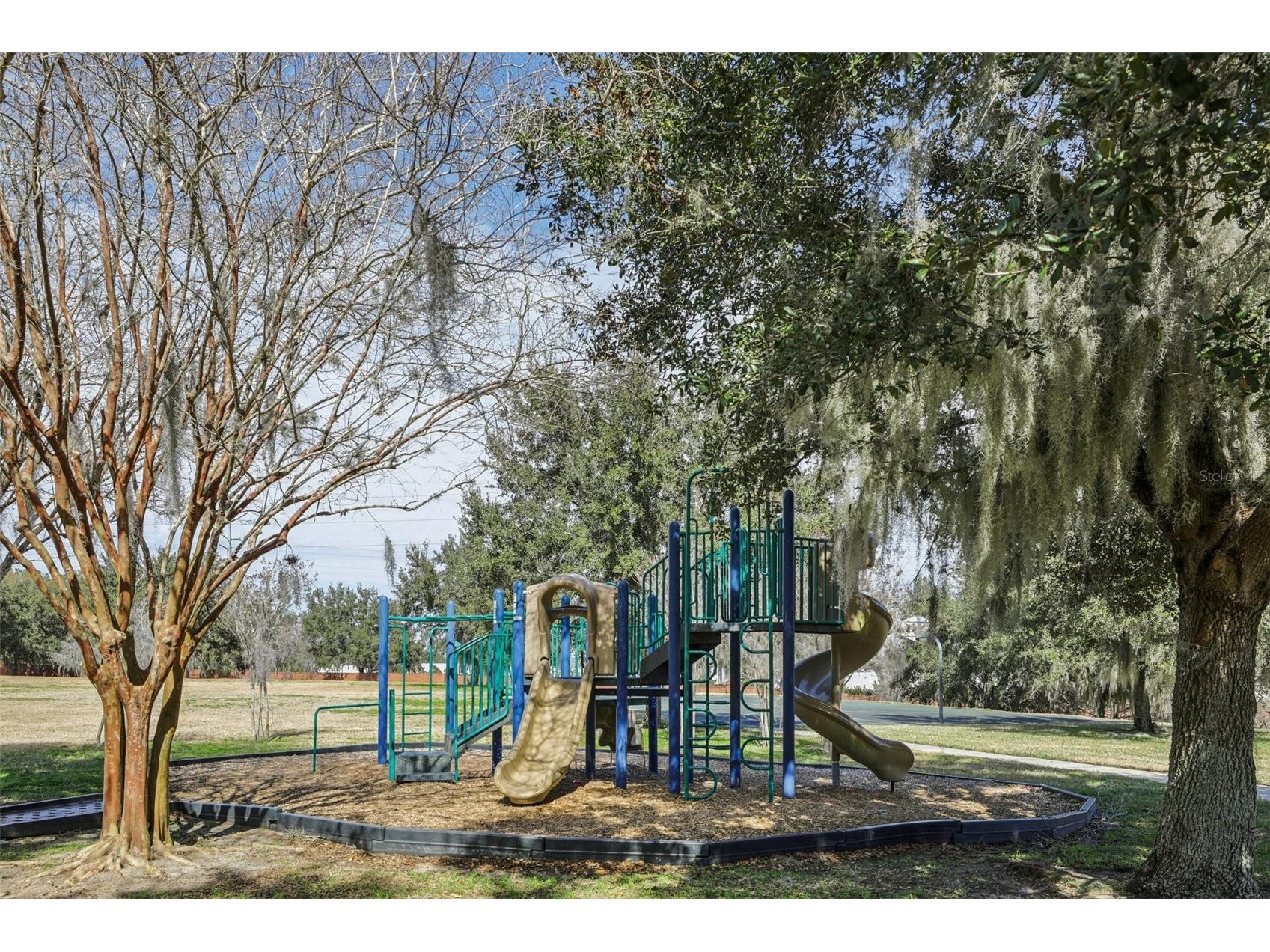 3207 Zander Drive Grand Island FL 32735 O6381450 image28