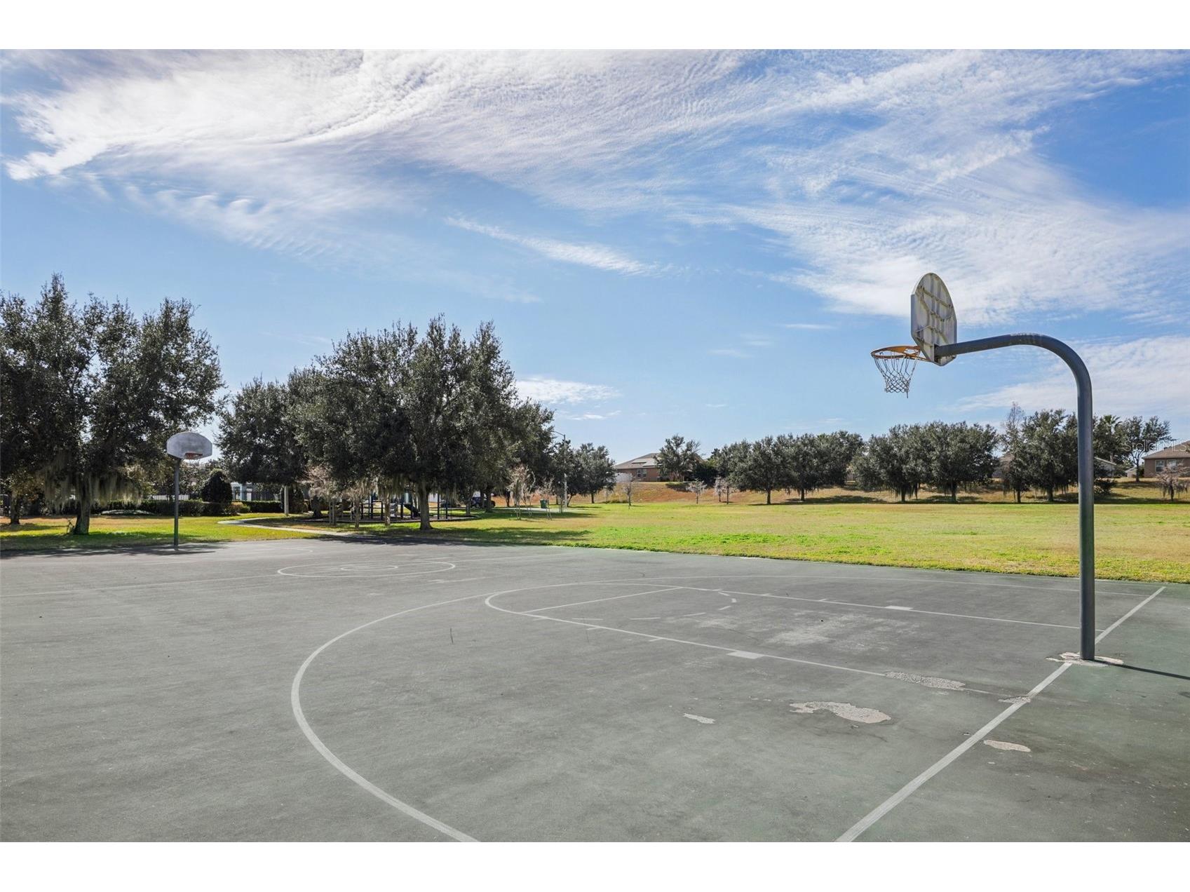 3207 Zander Drive Grand Island FL 32735 O6381450 image29