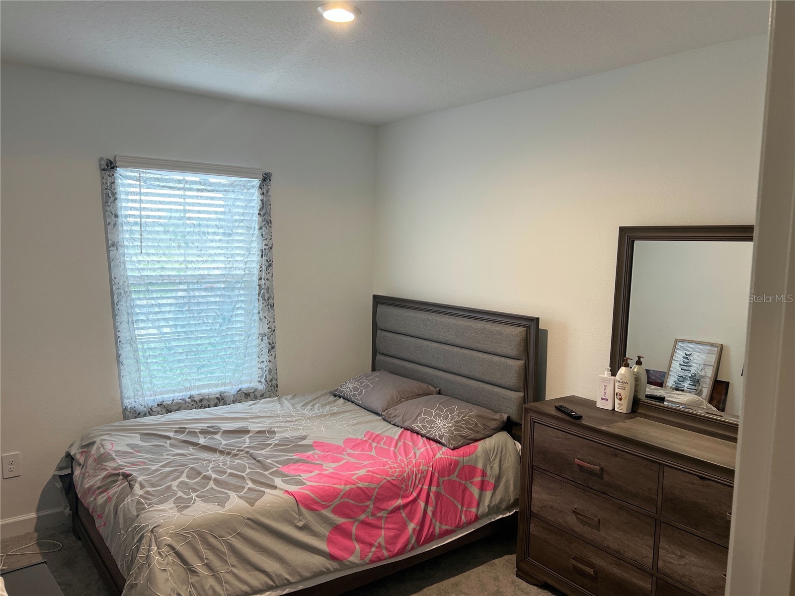 32070 Griffin Sands Lane San Antonio FL 33576 TB8516525 image16