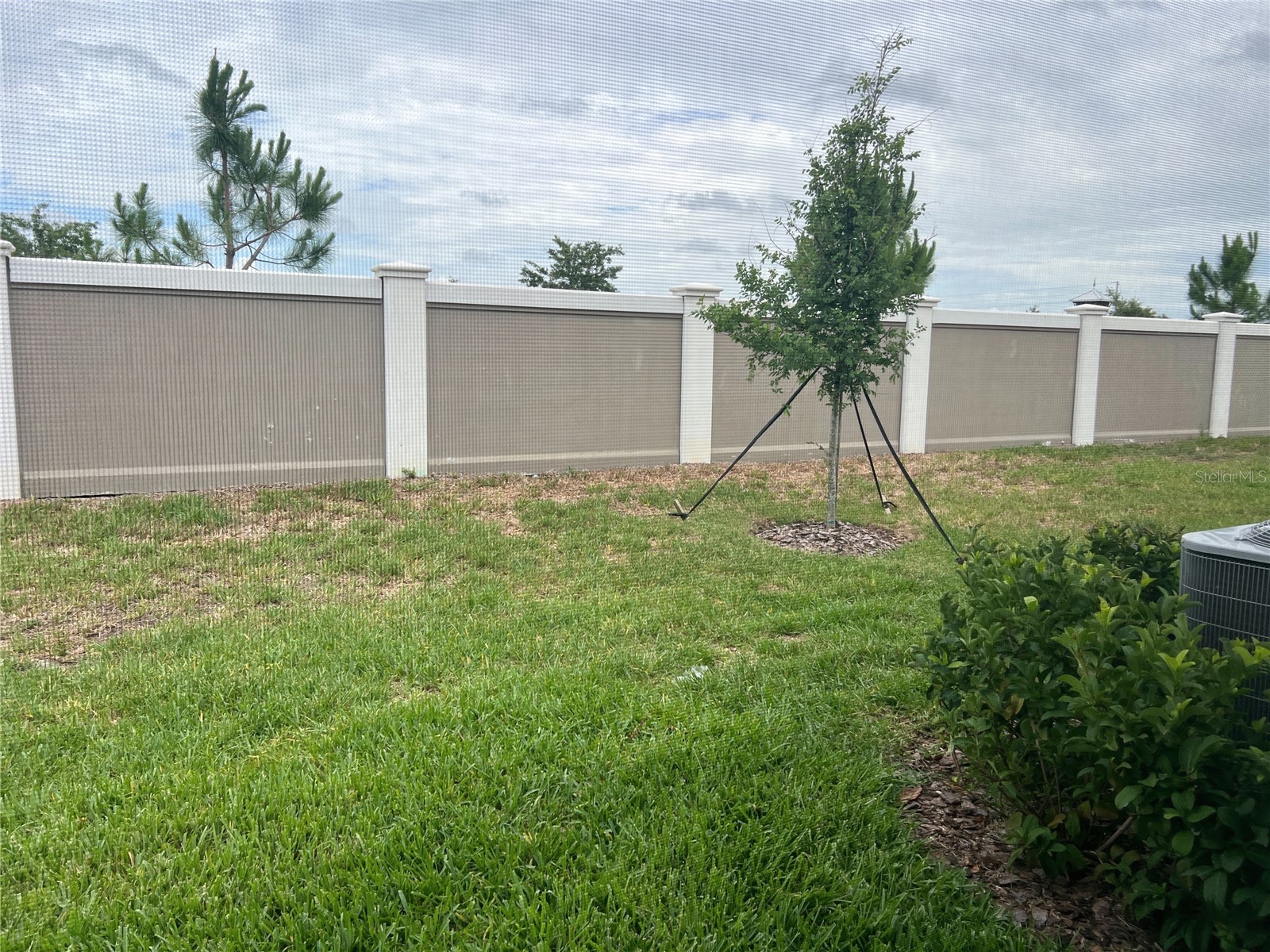 32070 Griffin Sands Lane San Antonio FL 33576 TB8516525 image18