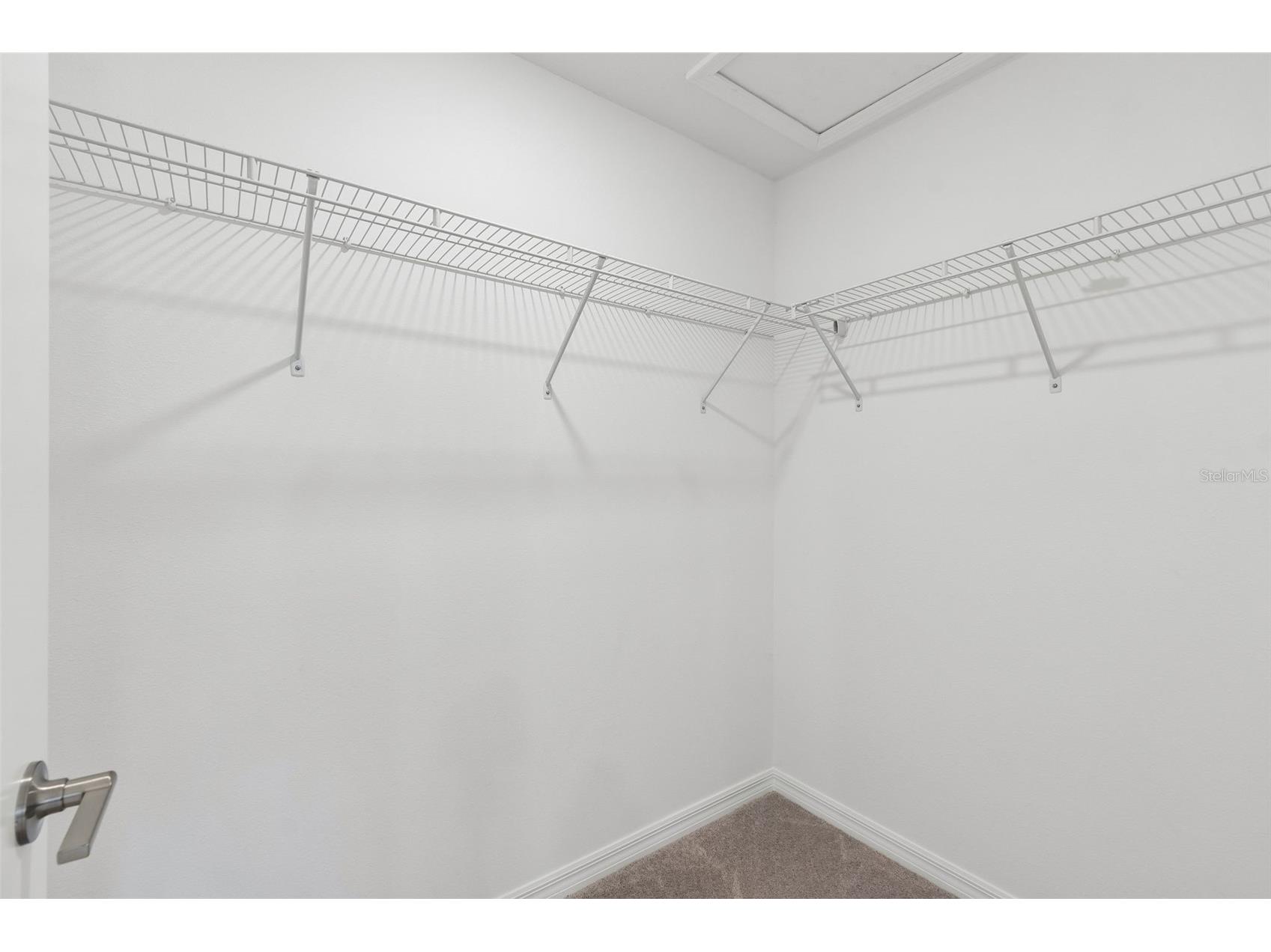 32076 Pop Ash Place Wesley Chapel FL 33545 TB8475431 image39