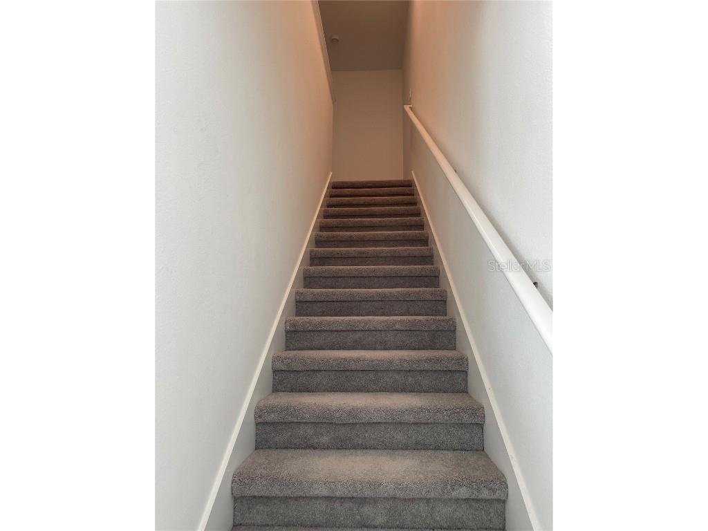 32077 Powderpuff Mimosa San Antonio FL 33576 TB8437562 image11