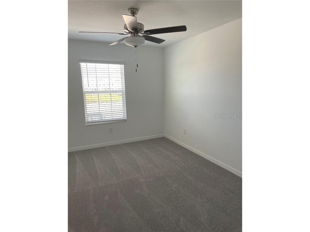 32077 Powderpuff Mimosa San Antonio FL 33576 TB8437562 image13