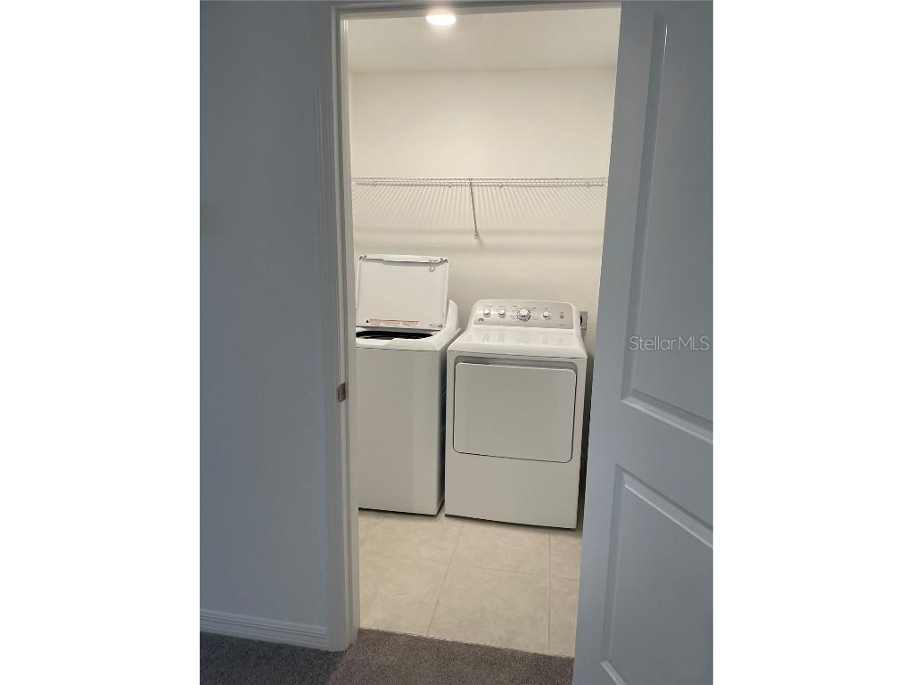 32077 Powderpuff Mimosa San Antonio FL 33576 TB8437562 image14