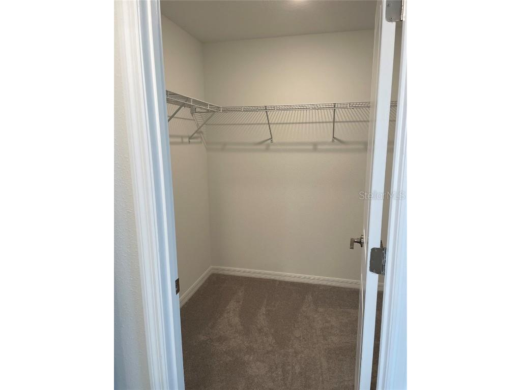 32077 Powderpuff Mimosa San Antonio FL 33576 TB8437562 image17