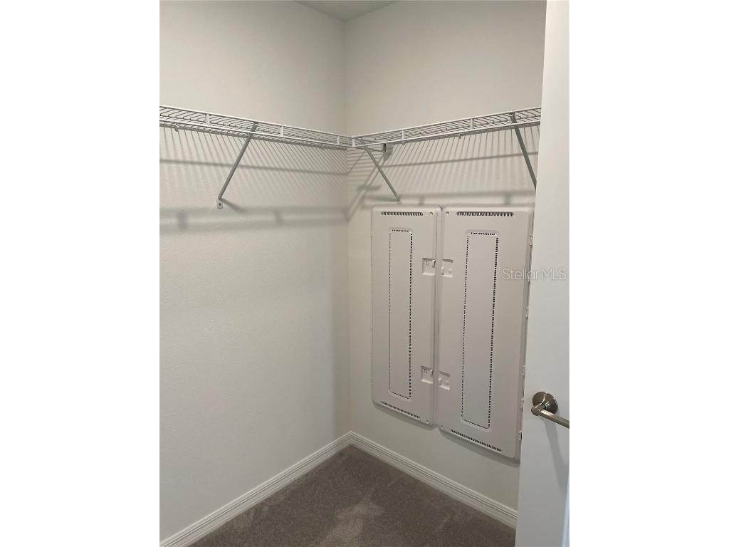 32077 Powderpuff Mimosa San Antonio FL 33576 TB8437562 image18