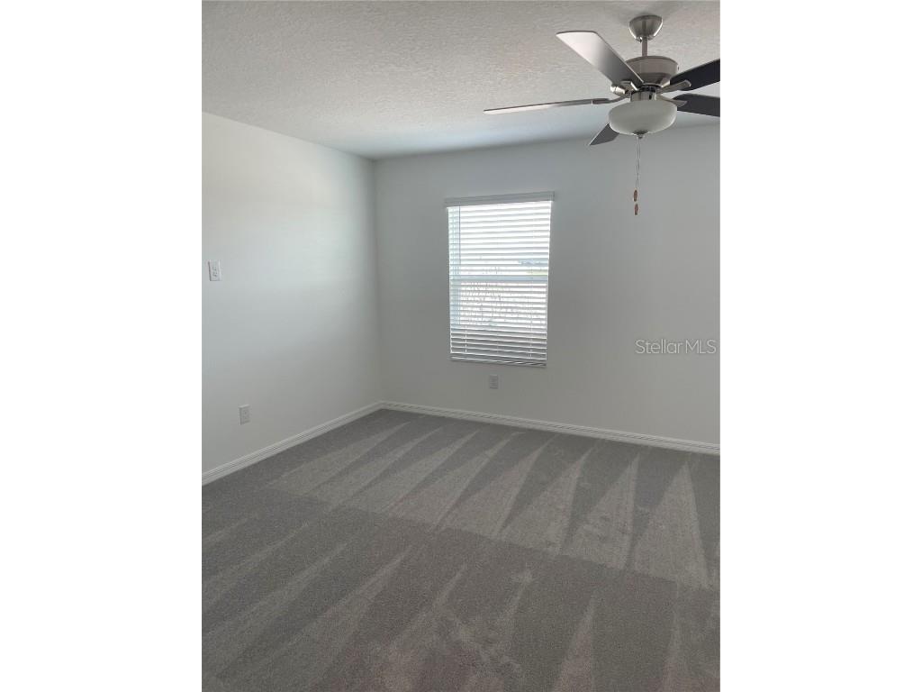 32077 Powderpuff Mimosa San Antonio FL 33576 TB8437562 image19