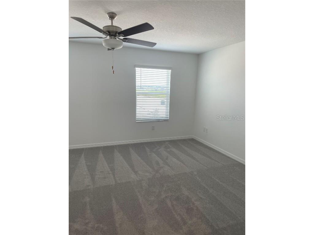 32077 Powderpuff Mimosa San Antonio FL 33576 TB8437562 image20