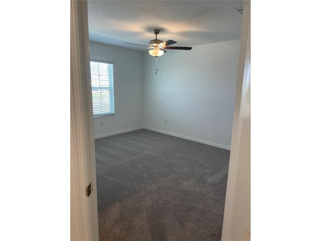 32077 Powderpuff Mimosa San Antonio FL 33576 TB8437562 image23