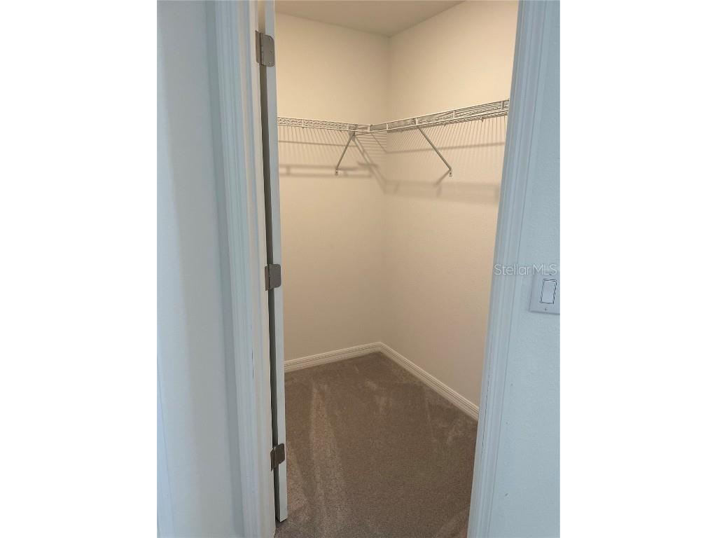 32077 Powderpuff Mimosa San Antonio FL 33576 TB8437562 image24