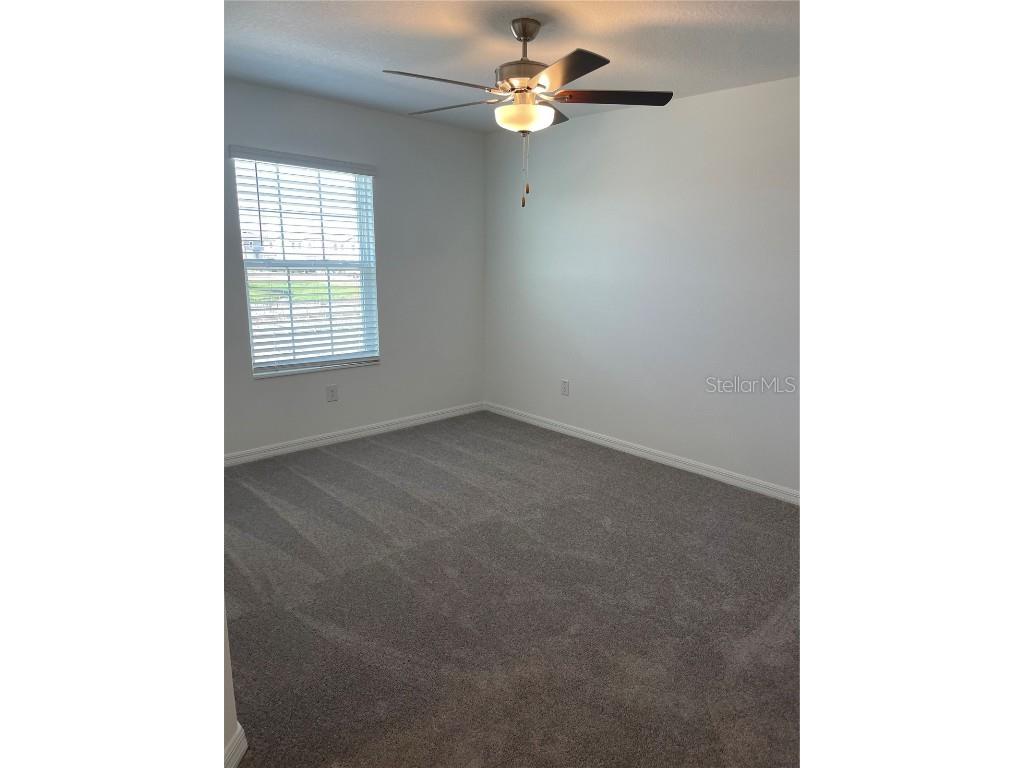 32077 Powderpuff Mimosa San Antonio FL 33576 TB8437562 image25