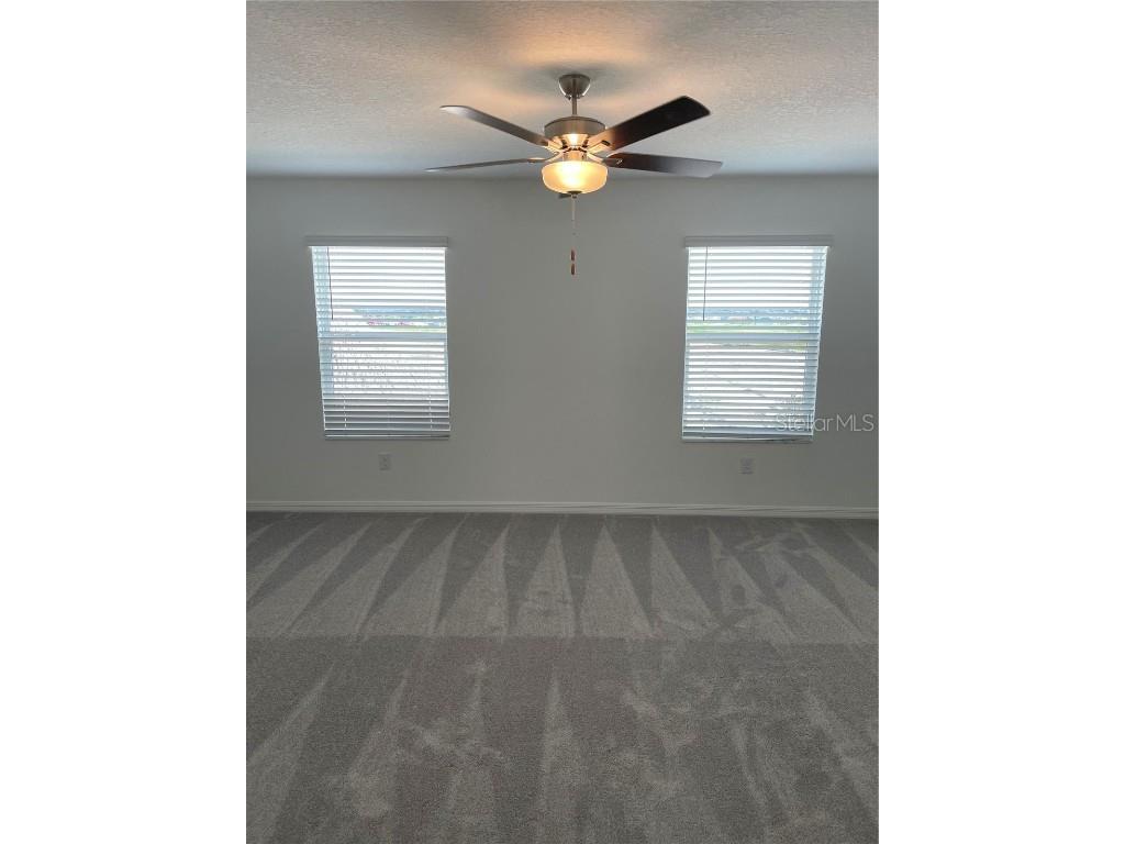 32077 Powderpuff Mimosa San Antonio FL 33576 TB8437562 image26