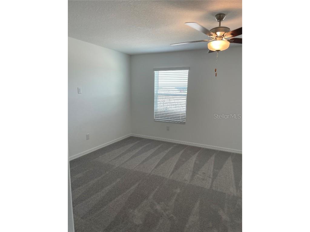 32077 Powderpuff Mimosa San Antonio FL 33576 TB8437562 image27