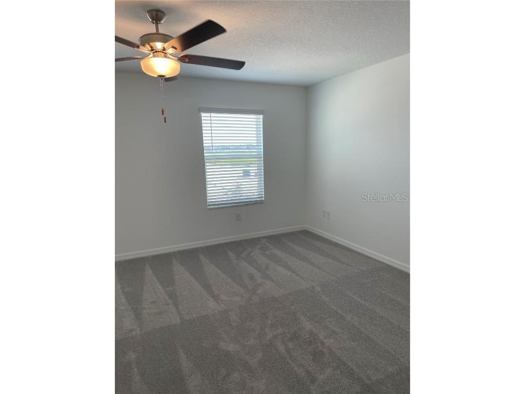 32077 Powderpuff Mimosa San Antonio FL 33576 TB8437562 image28