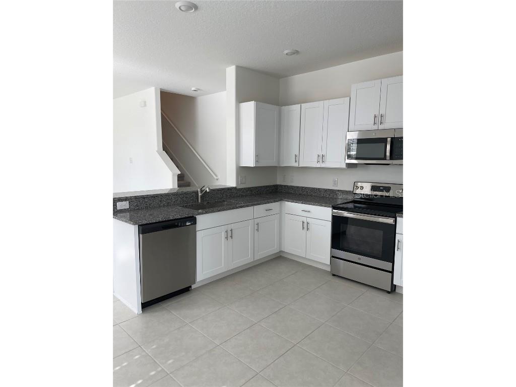 32077 Powderpuff Mimosa San Antonio FL 33576 TB8437562 image3