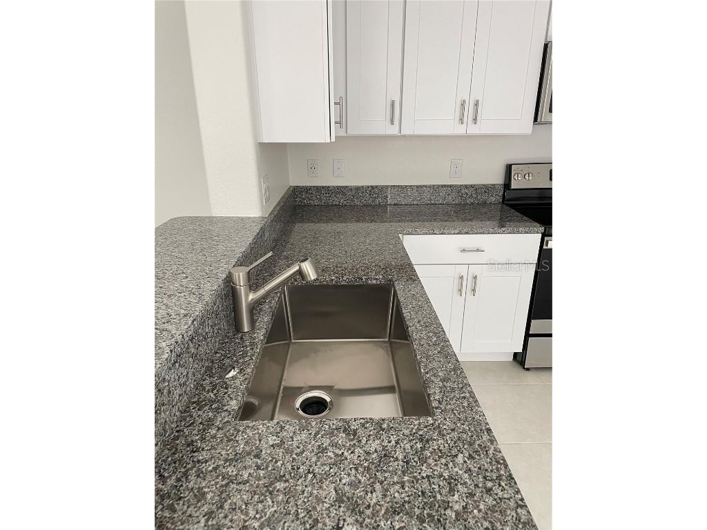 32077 Powderpuff Mimosa San Antonio FL 33576 TB8437562 image32