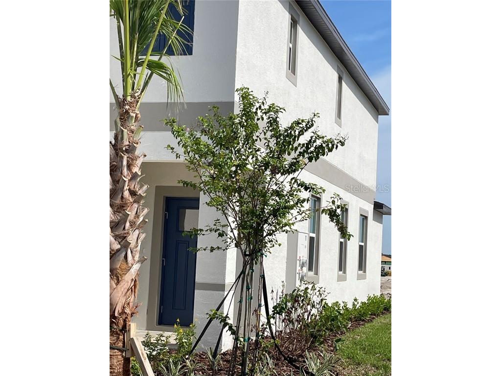 32077 Powderpuff Mimosa San Antonio FL 33576 TB8437562 image39