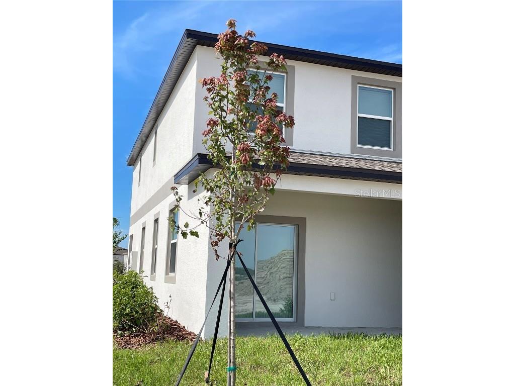 32077 Powderpuff Mimosa San Antonio FL 33576 TB8437562 image40