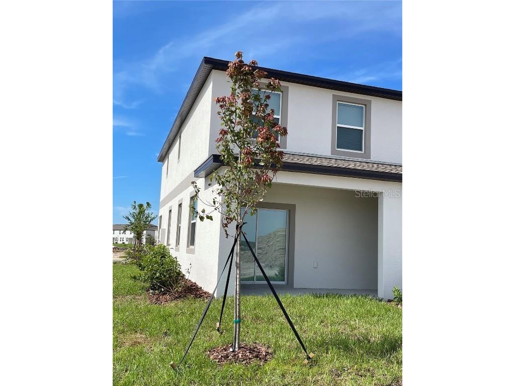 32077 Powderpuff Mimosa San Antonio FL 33576 TB8437562 image41