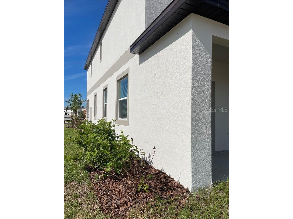 32077 Powderpuff Mimosa San Antonio FL 33576 TB8437562 image7