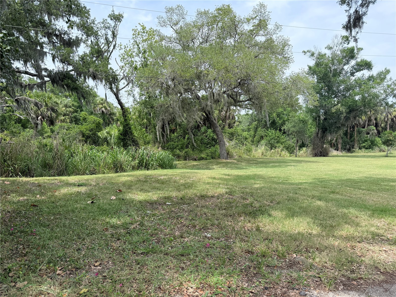 3208 16th Ave E Palmetto FL 34221 A4693387 image3