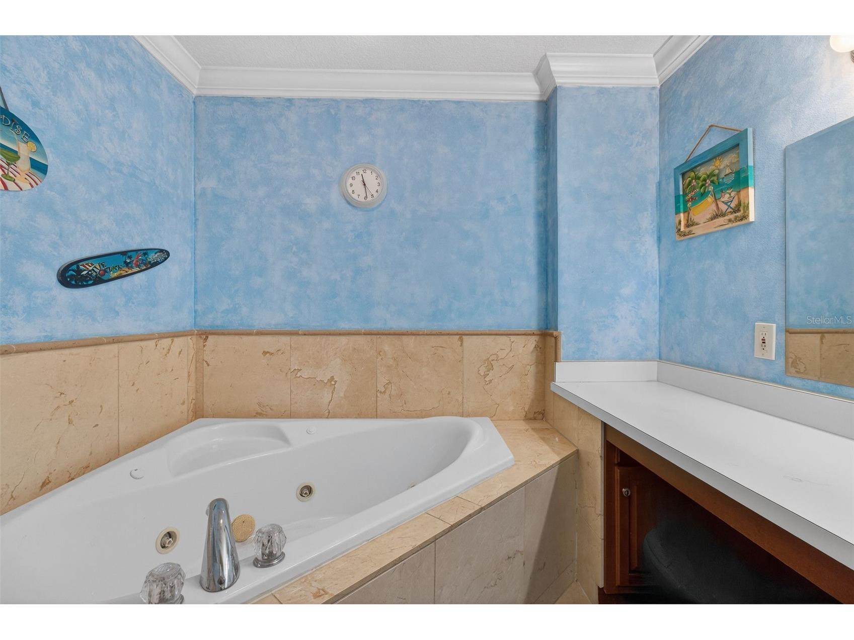 3208 Acapulco Drive Riverview FL 33578 TB8488516 image15