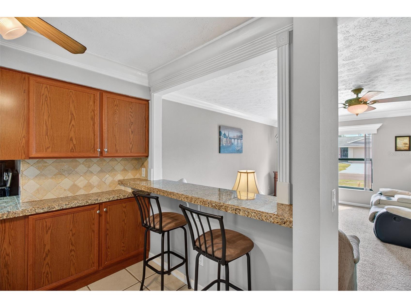 3208 Acapulco Drive Riverview FL 33578 TB8488516 image27