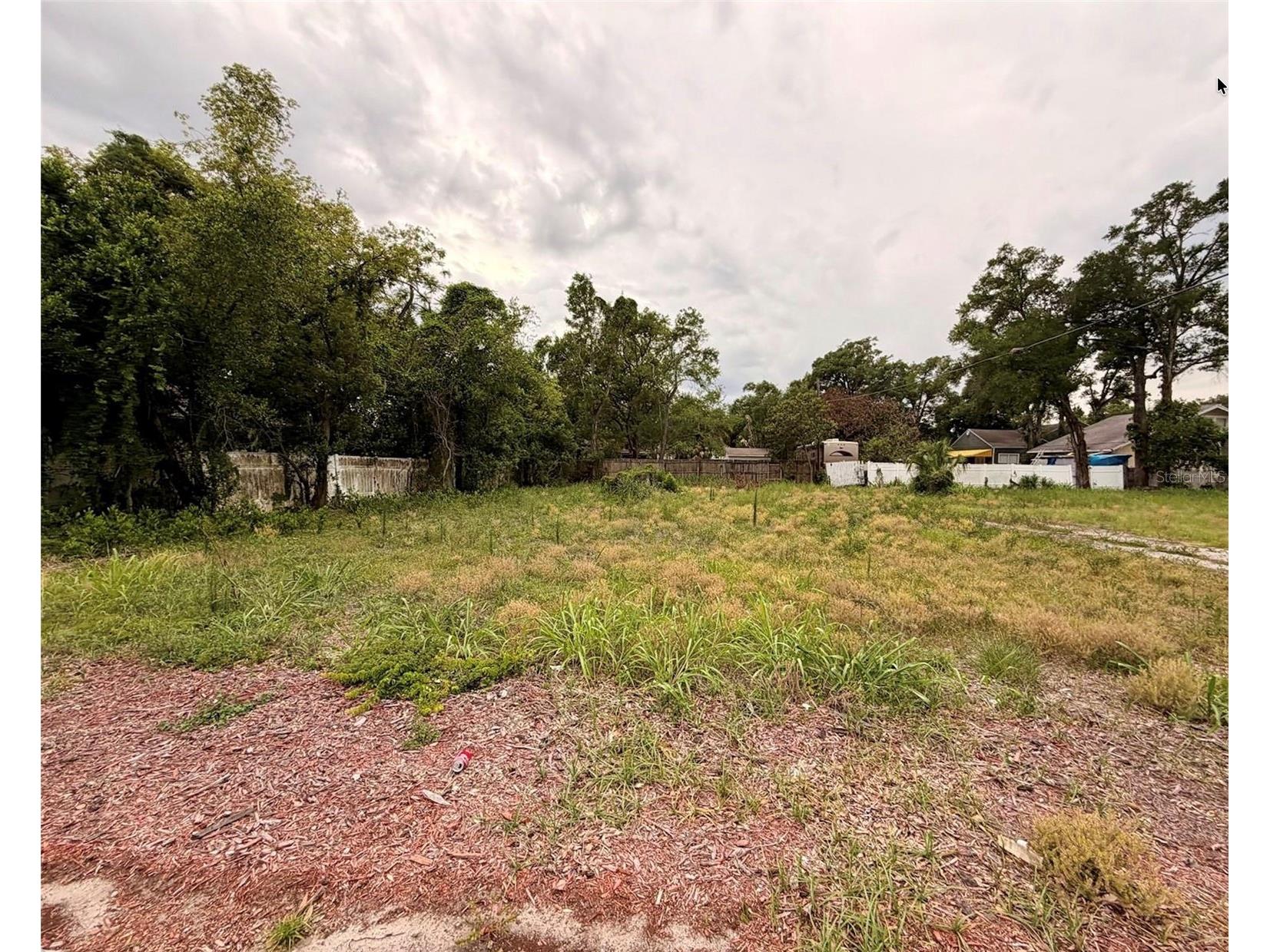 3208 N Tampa Street Tampa FL 33603 TB8527663 image6