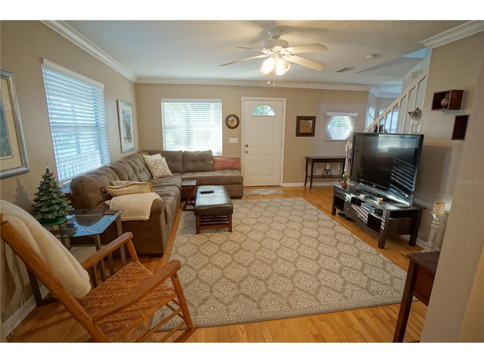 3208 S Esperanza Avenue Tampa FL 33629 TB8513306 image3