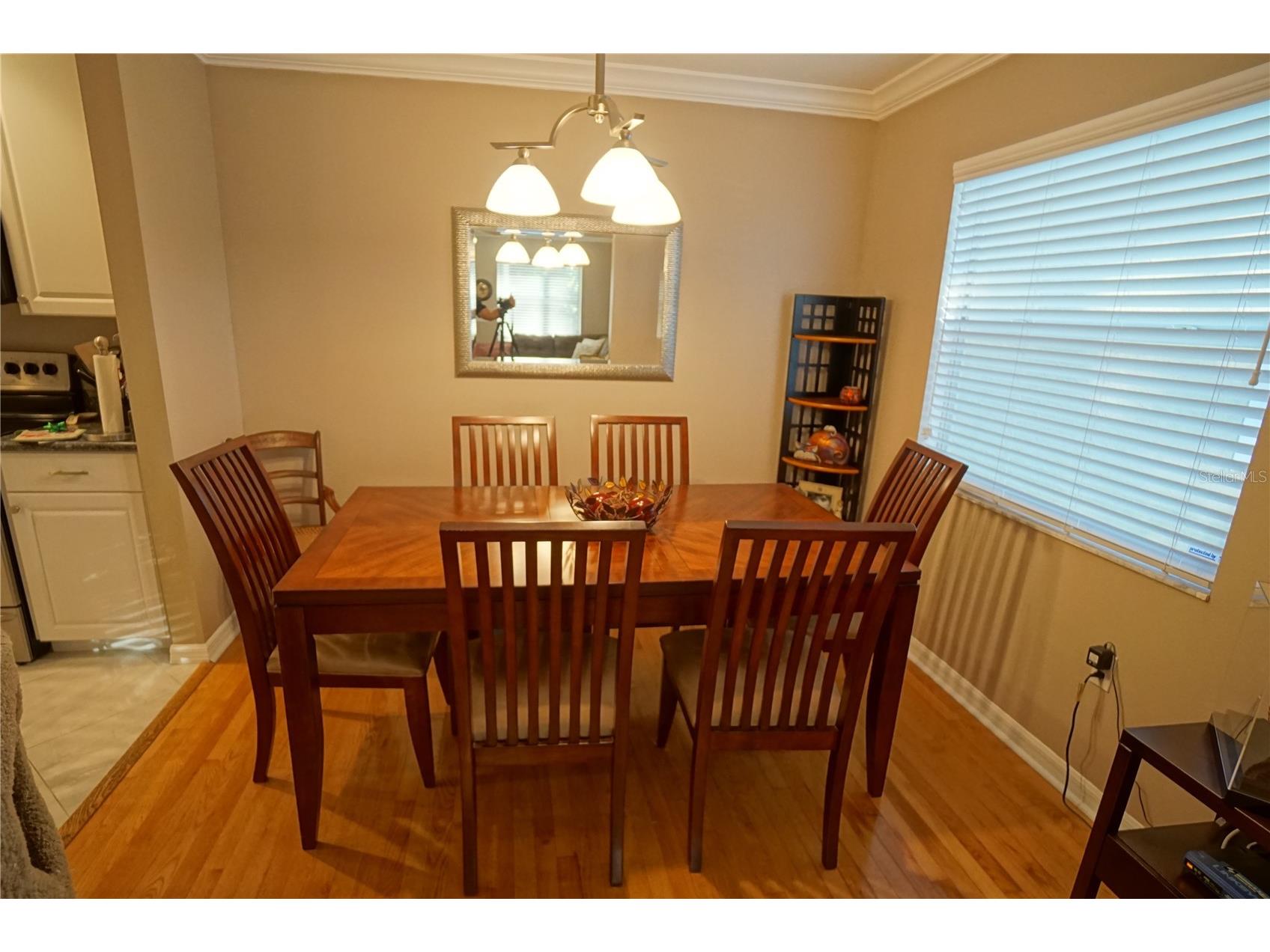 3208 S Esperanza Avenue Tampa FL 33629 TB8513306 image4