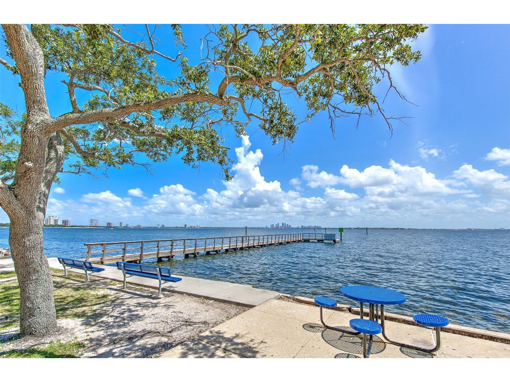 3208 W Hawthorne Road Tampa FL 33611 TB8479770 image28