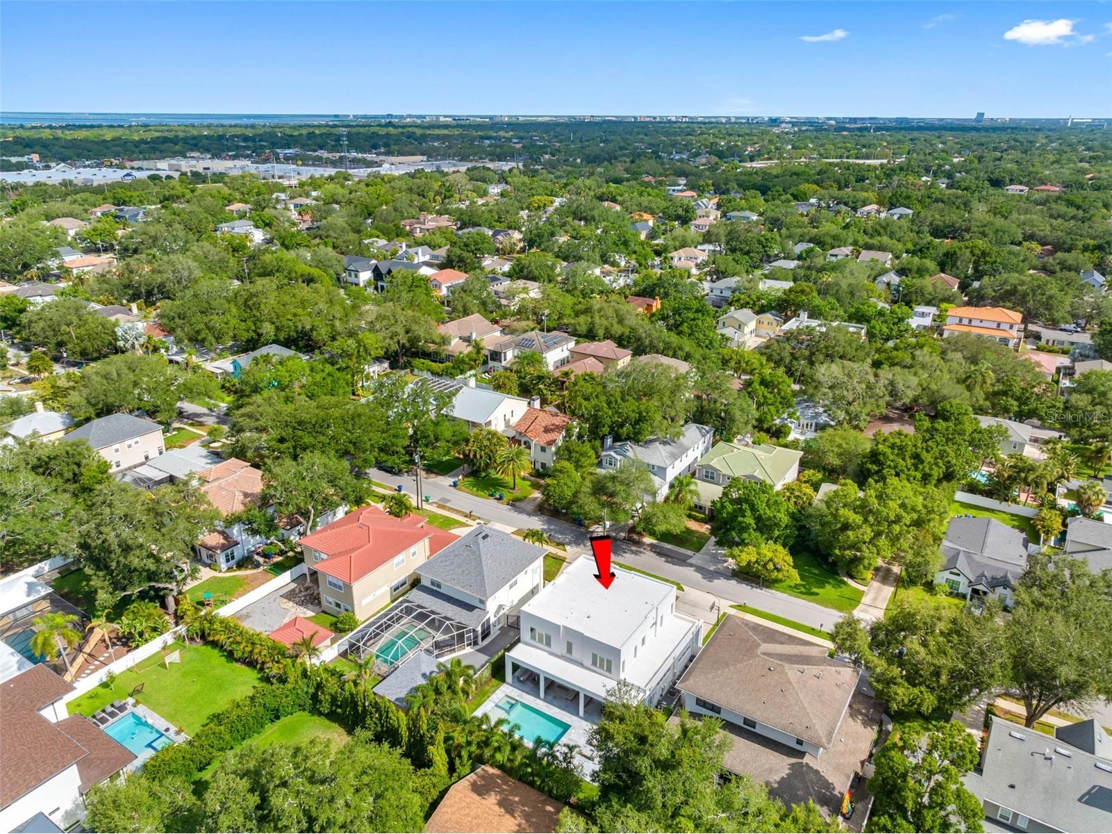 3208 W Lawn Avenue Tampa FL 33611 TB8515630 image79