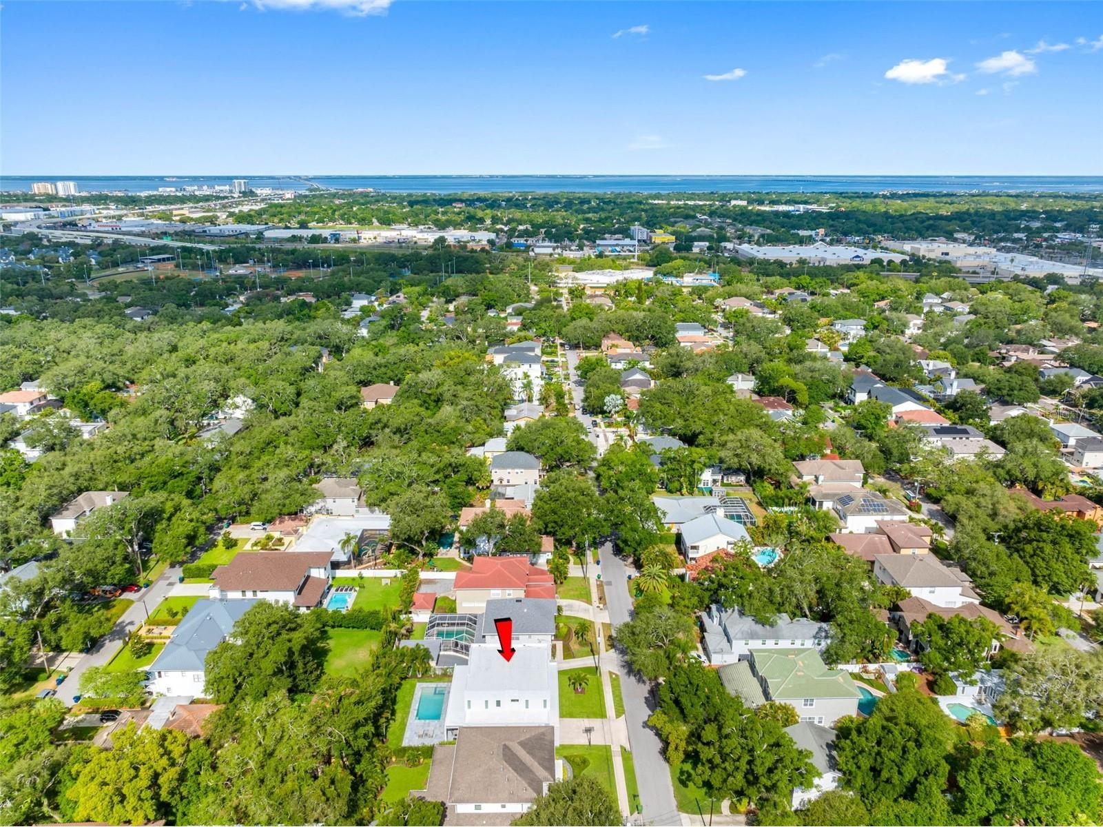 3208 W Lawn Avenue Tampa FL 33611 TB8515630 image80