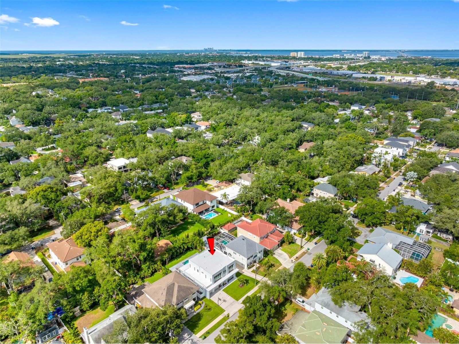 3208 W Lawn Avenue Tampa FL 33611 TB8515630 image81