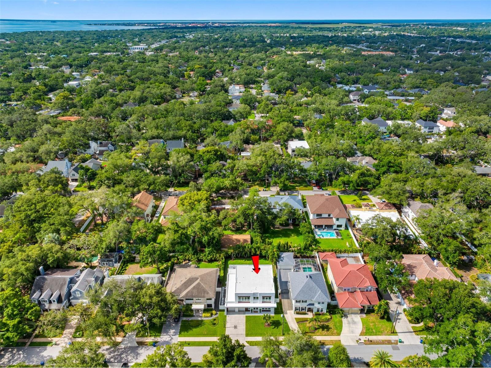 3208 W Lawn Avenue Tampa FL 33611 TB8515630 image82
