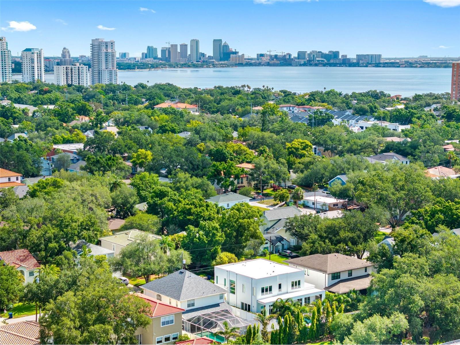3208 W Lawn Avenue Tampa FL 33611 TB8515630 image87