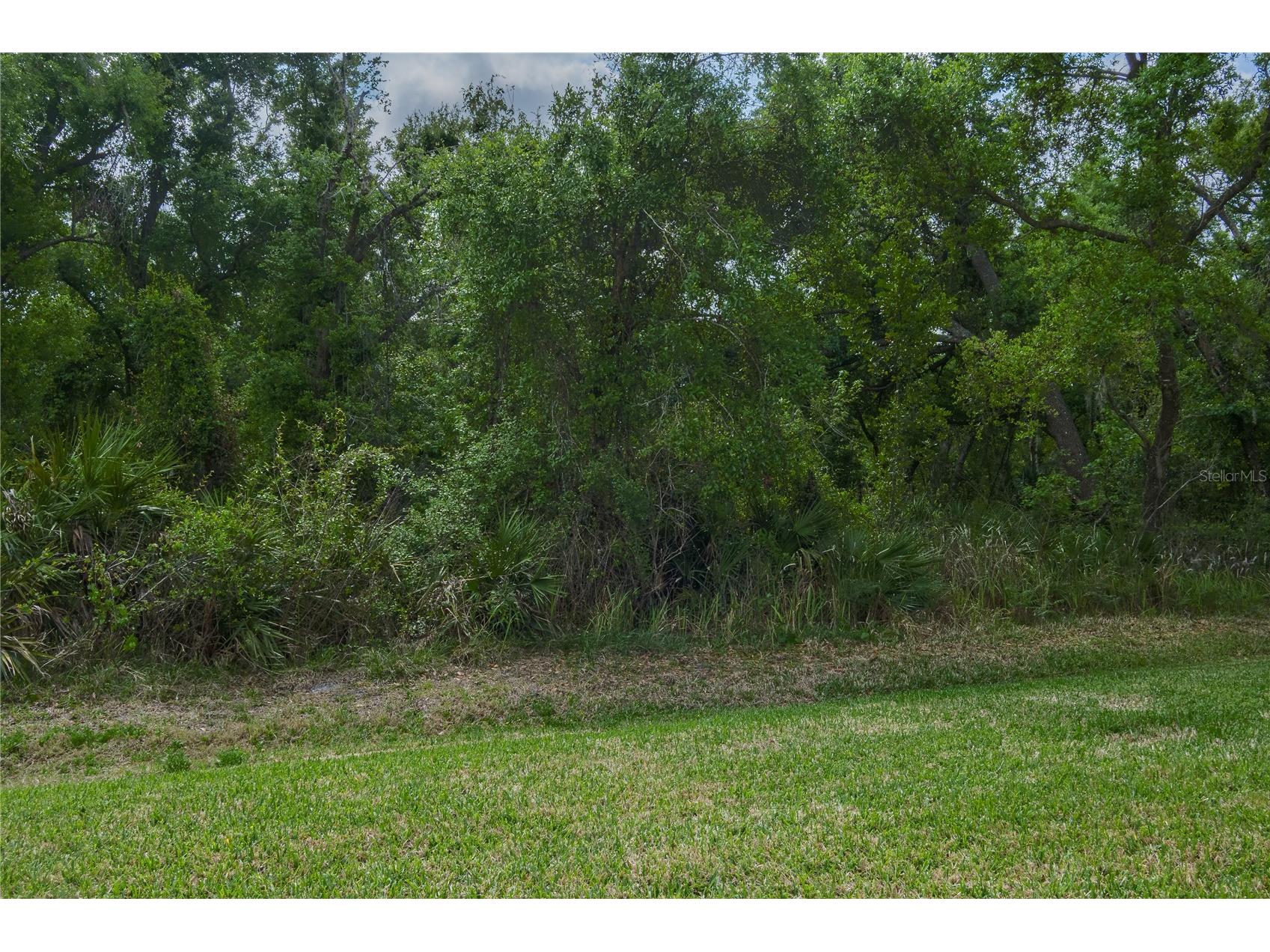 3208 Woodland Fern Drive Parrish FL 34219 A4692088 image25