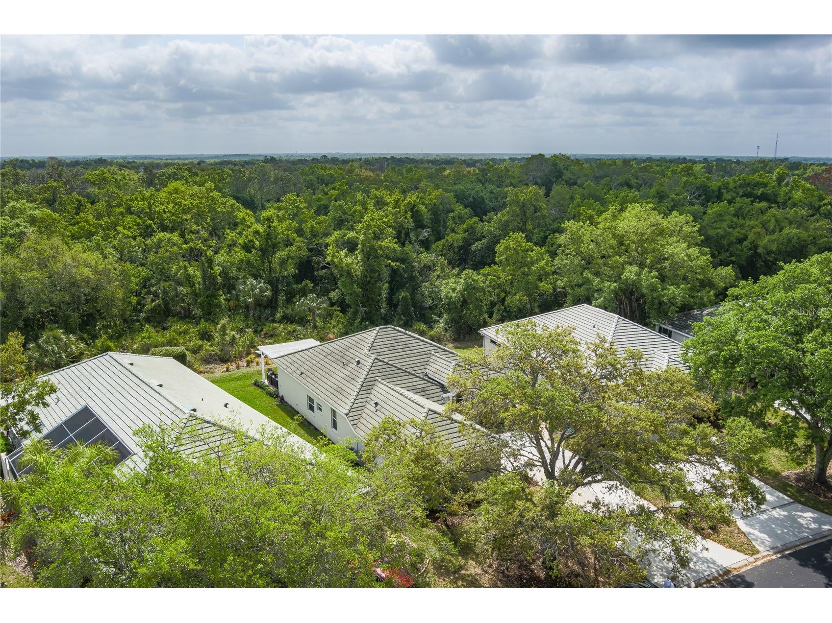 3208 Woodland Fern Drive Parrish FL 34219 A4692088 image28
