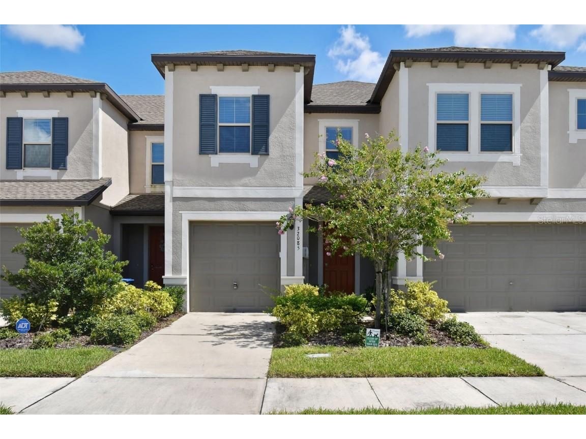 32085 Blue Passing Loop Wesley Chapel FL 33545 T3461691 image1