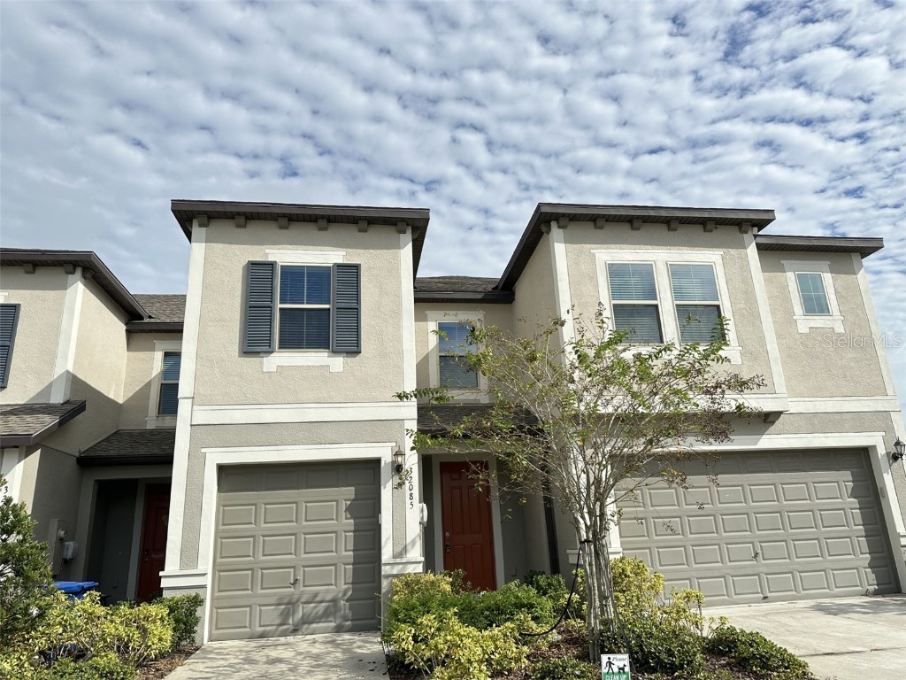 32085 Blue Passing Loop Wesley Chapel FL 33545 T3477277 image1